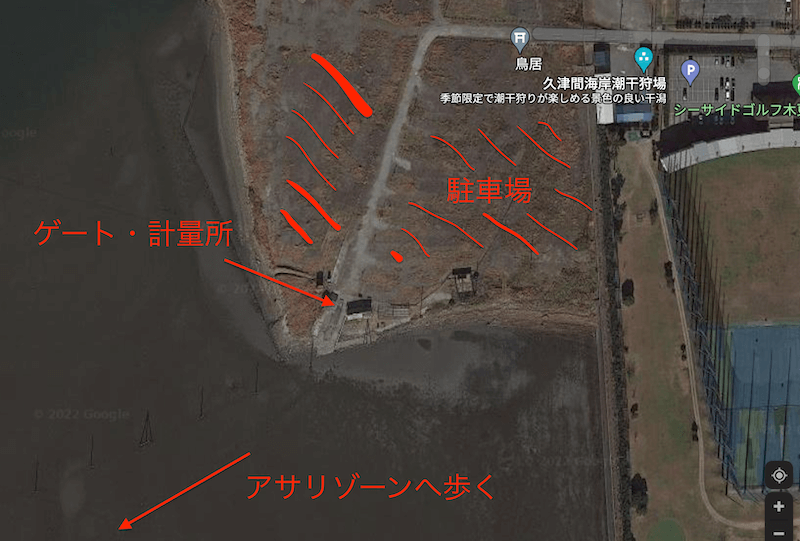 木更津 久津間海岸潮干狩りでアサリ ハマグリ大量ゲット 黄金のはまぐりはある ノリックジオグラフィック 木更津 久津間海岸潮干狩りでアサリ ハマグリ大量ゲット 黄金のはまぐりはある ノリックジオグラフィック